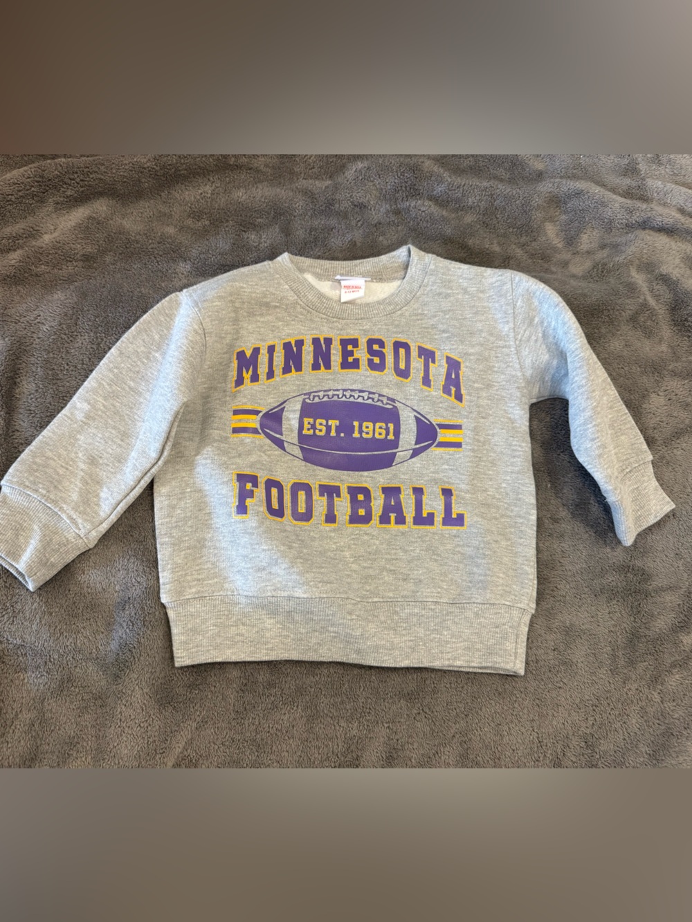Minnesota Vikings Football Grey Kids Crewneck Sweatshirt